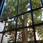 Magnolia Garden Apartament Ferrara
