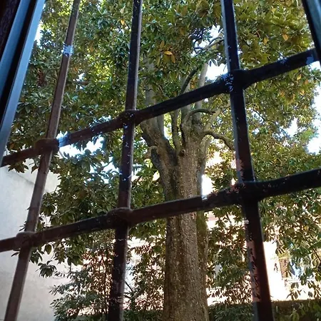 Magnolia Garden Lägenhet Ferrara