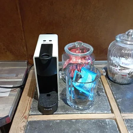 Magnolia Garden * Ferrara