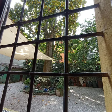 Magnolia Garden * Ferrara