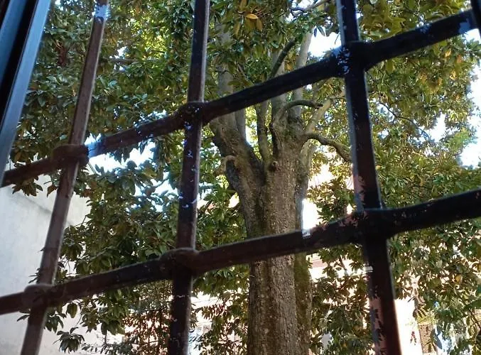 Magnolia Garden شقة فيرّارا